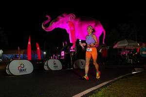 BIB: 
                            <button type="button" onclick="openModal(26544318)" class="btn btn-primary btn-sm float-right btn-popup" data-toggle="modal" data-target=".modal-high-quality">
                        <i class="fas fa-shopping-cart"></i> Add to Cart
                    </button>
                                            <button type="button" onclick="isThisMe(26544318, true)" class="btn btn-success btn-sm float-right btn-popup btn-isme hidden" data-toggle="tooltip" data-placement="bottom" title="นี่คือรูปของคุณใช่ไหม คลิกที่นี่เพื่อเอาเข้าอัลบั้ม">
                        <i class="fas fa-plus"></i> Add to album
                    </button>
                    <button type="button" onclick="isThisMe(26544318, false)" class="btn btn-warning btn-sm float-right btn-popup btn-isnotme hidden">
                        <i class="fas fa-ban"></i> Remove from album
                    </button>